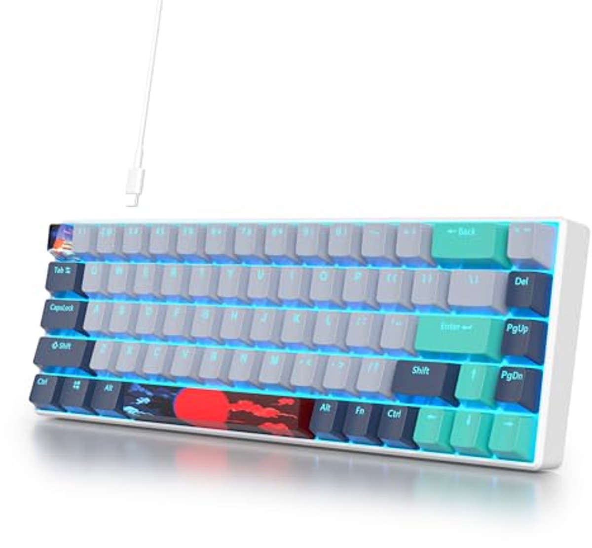 Draagbaar Mechanisch Gaming Toetsenbord met RGB Verlichting en Afneembare USB Type-C Kabel