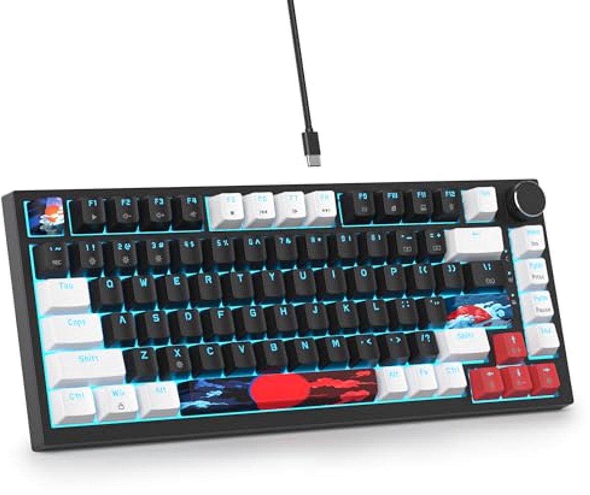 Hotswappable Mechanisch Gaming Toetsenbord met RGB Verlichting - Compact TKL Ontwerp