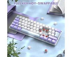 Compact Mechanisch Gamingtoetsenbord 60% met RGB-Verlichting en Hot-Swap