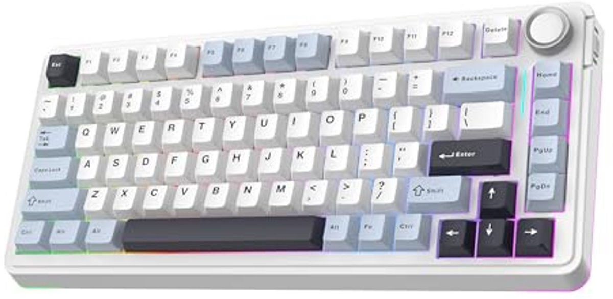 Draadloos 75% Gaming Toetsenbord met RGB Verlichting en Hot Swappable Mechanische Switches
