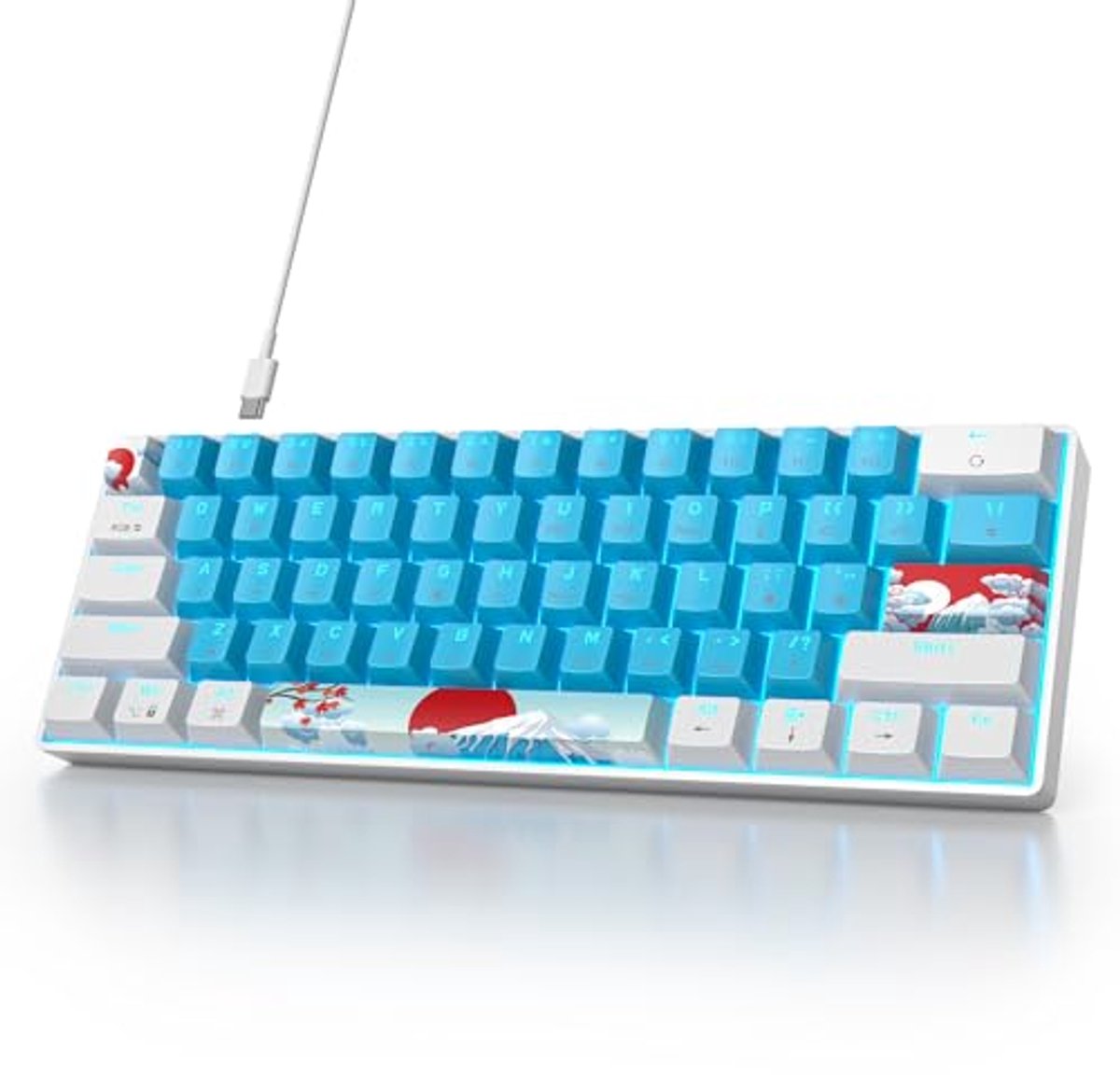 Draagbaar Mechanisch Gaming Toetsenbord met RGB Verlichting en Afneembare USB Type-C Kabel