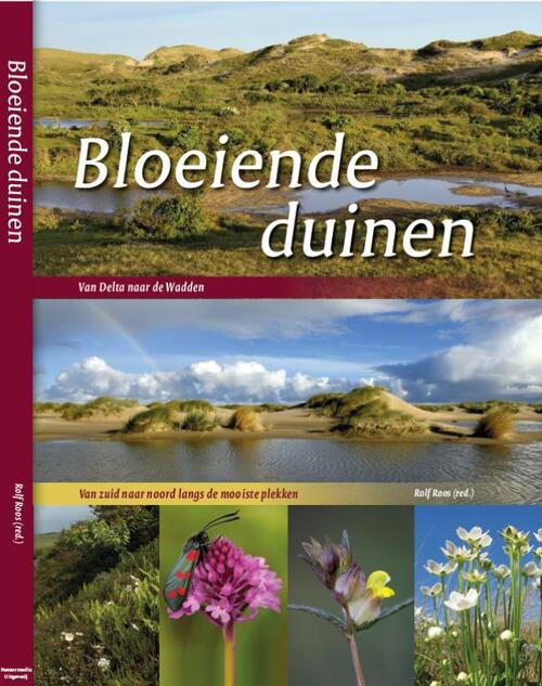 Uitgeverij NatuurMedia Bloeiende duinen