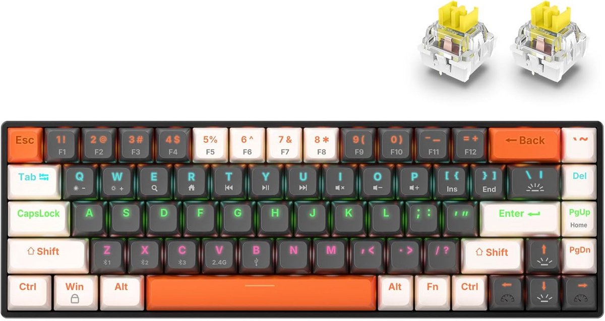 Compact 65% Mechanisch Gaming Toetsenbord Draadloos QWERTY RGB