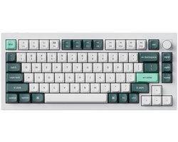 Keychron Q1 HE draadloos toetsenbord RGB Nebula magnetische schakelaar (wit) [Q1H-P1].