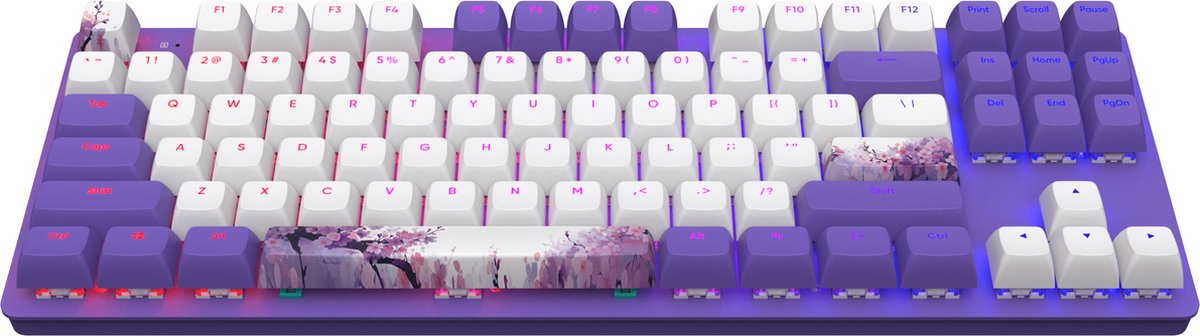 Dark Project One - 87 Violet Horizons - MMechanisch Bedraad Toetsenbord - G3MS RGB (ENG) (ANSI)
