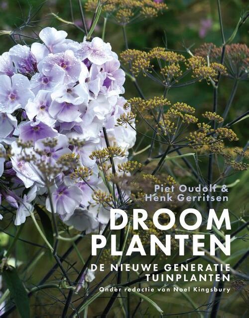 HL Books Droomplanten