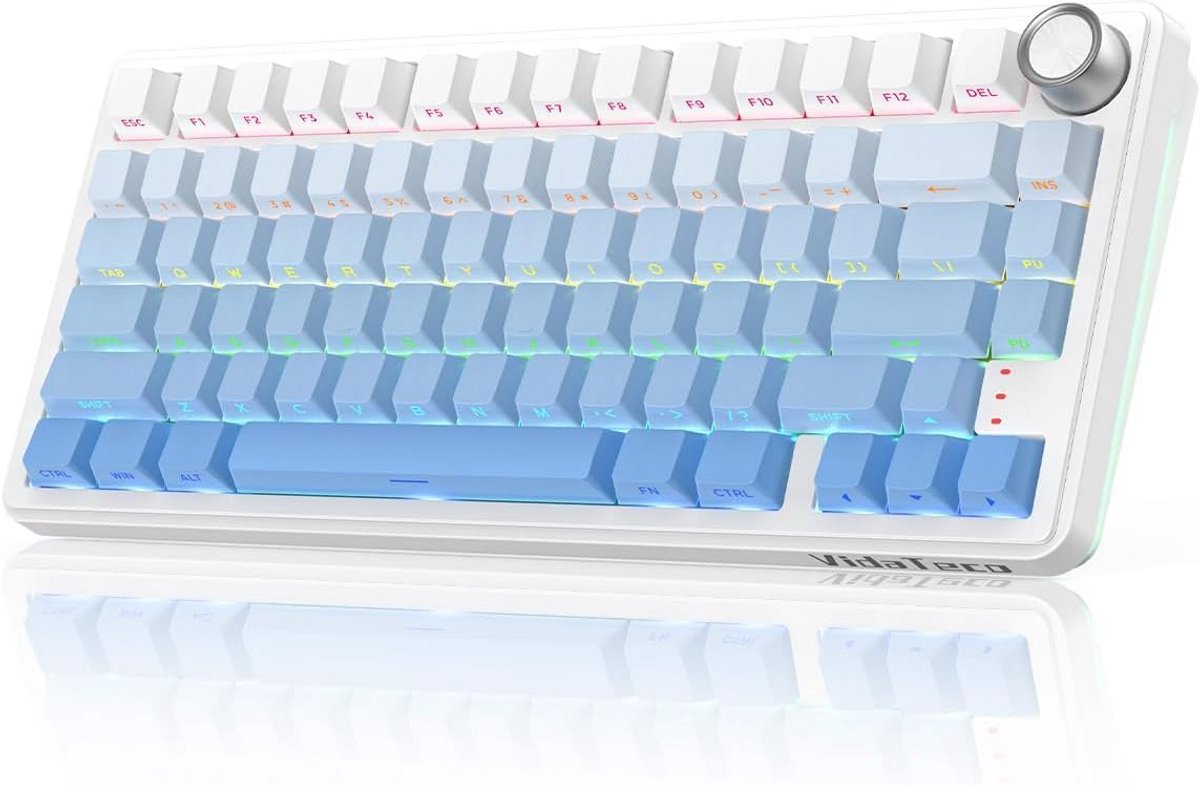 Mechanical Keyboard - Mechanisch Toetsenbord Gaming - stille toetsen