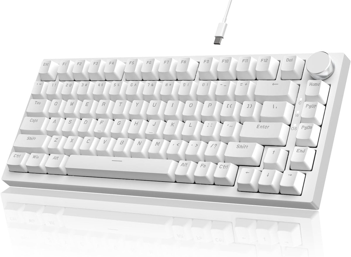 Mechanisch Gaming Toetsenbord met 75% ANSI-Indeling en Geluidsabsorberend Schuim
