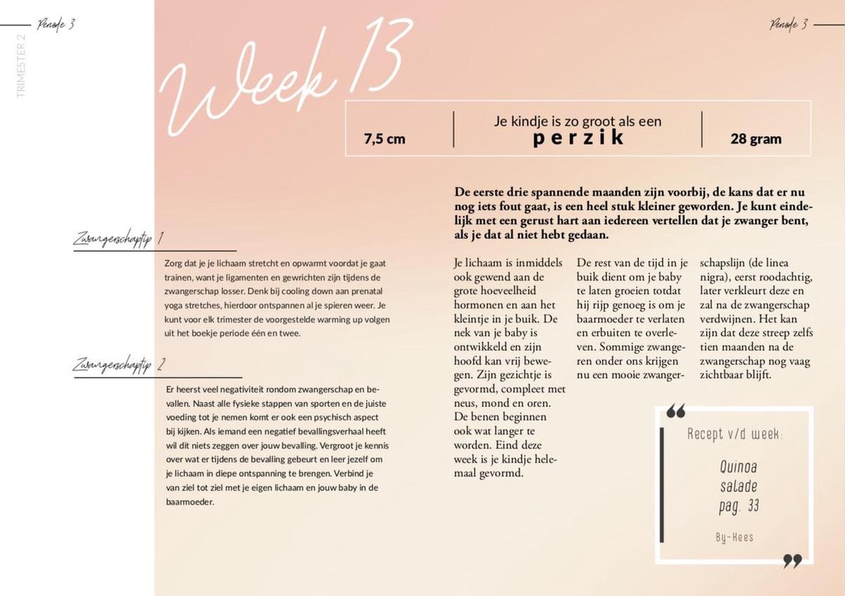 Gooische Media Groep B.V. #Noexcuses