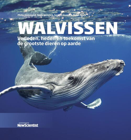 New Scientist Walvissen