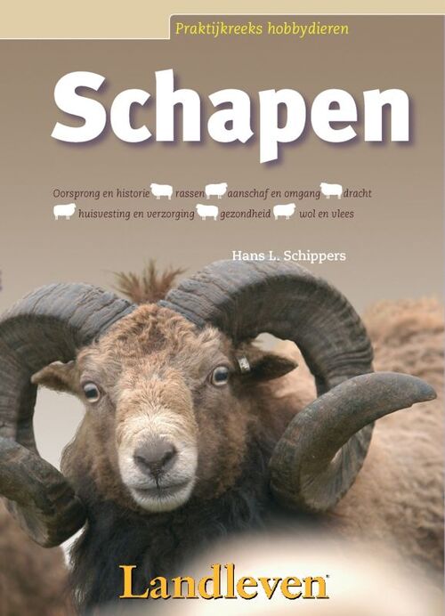 Schapen