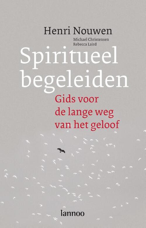 Lannoo Spiritueel begeleiden (POD)