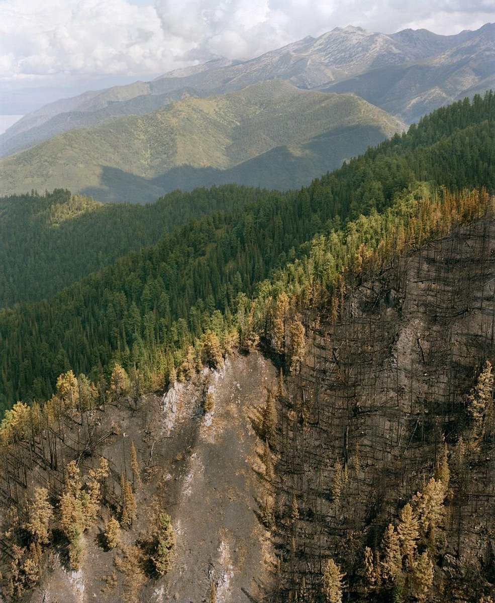 Lannoo Borealis