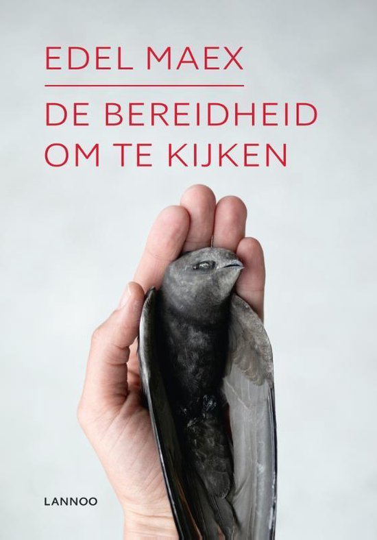 Lannoo De bereidheid om te kijken