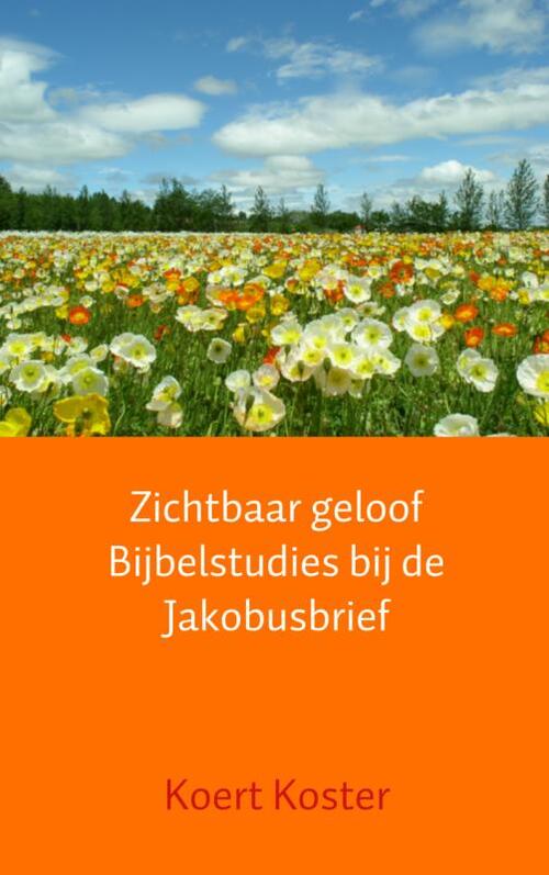 Brave New Books Zichtbaar geloof Bijbelstudies bij de Jakobusbrief