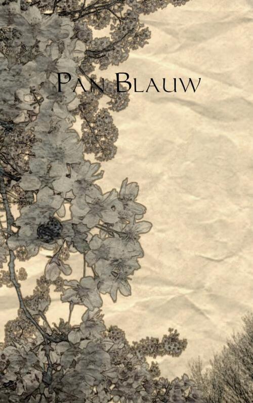 Pan - Blauw