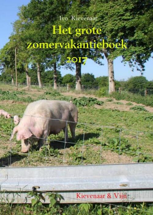 Het grote zomervakantieboek