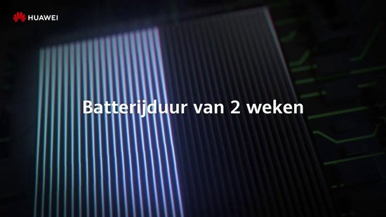 Huawei Watch GT 2 Pro/Bruin 46mm - Grijs