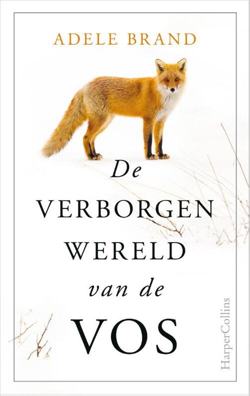 Harpercollins De verborgen wereld van de vos