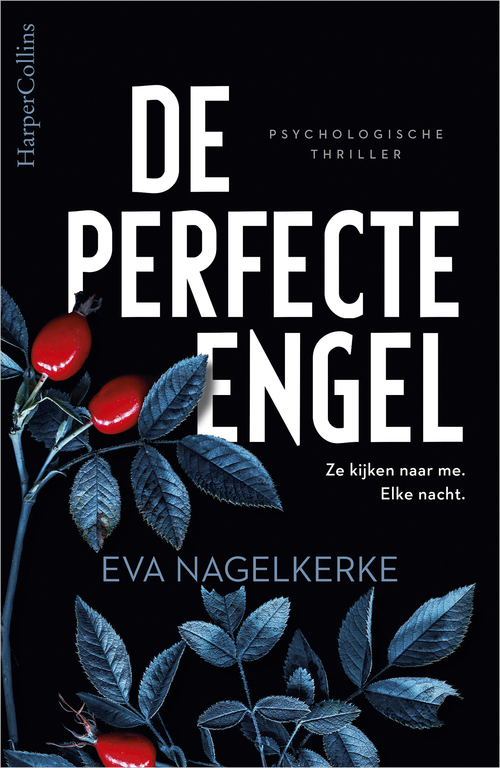 Harpercollins De perfecte engel