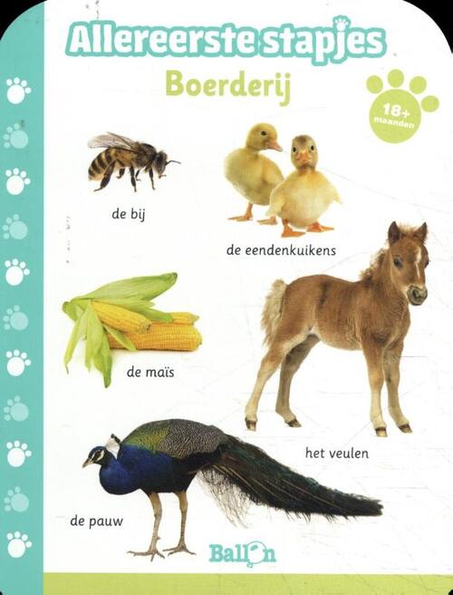 Boerderij