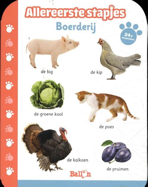 Boerderij