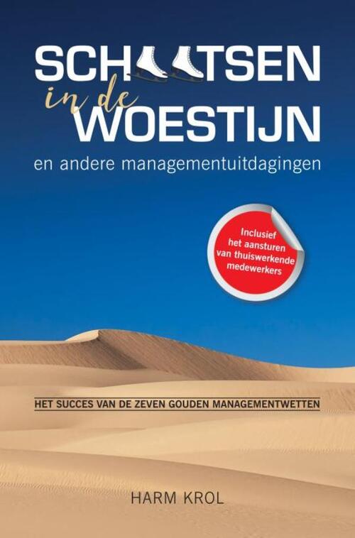Mijnmanagementboek.nl Schaatsen in de woestijn en andere managementuitdagingen