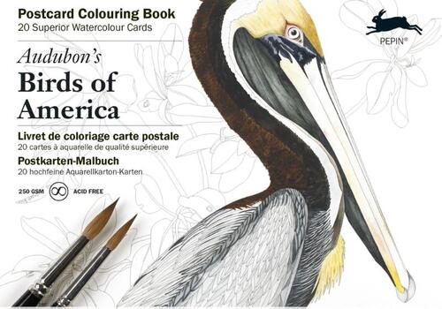 Audubon&apos;s Birds of America