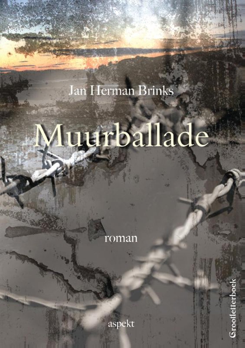 Muurballade - grootletterboek