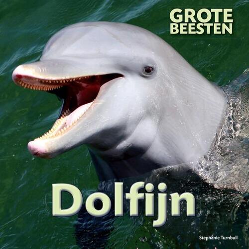 Dolfijn