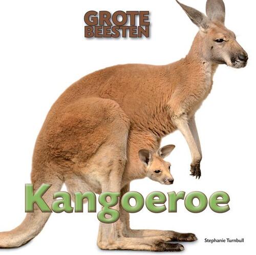 Kangoeroe