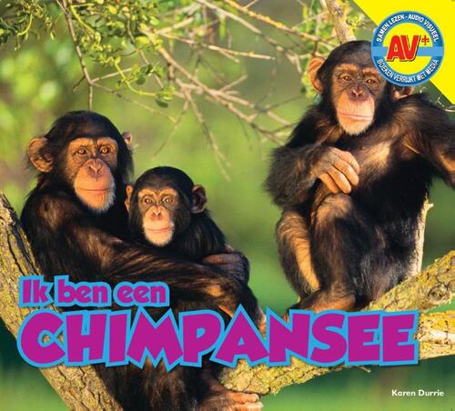 Chimpansee