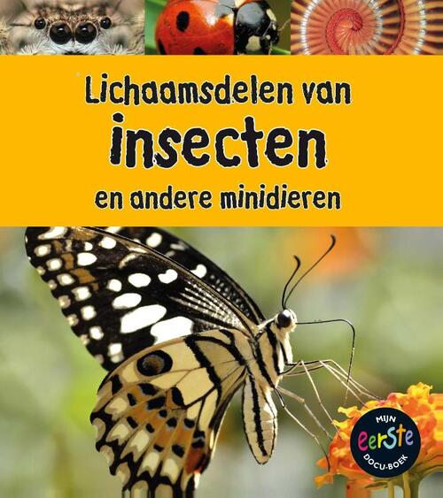 Lichaamsdelen van Insecten en andere minidieren