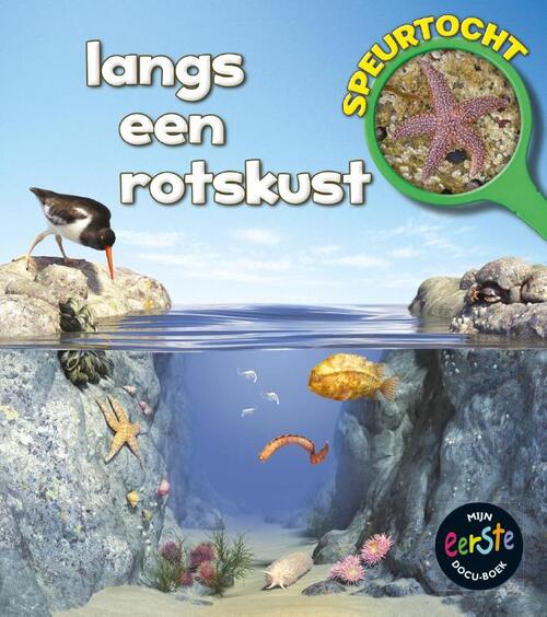 Langs een rotskust