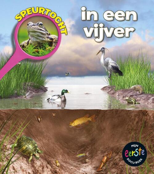 In een vijver