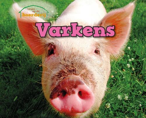 Varkens