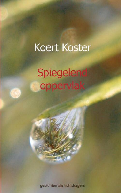 Spiegelend oppervlak