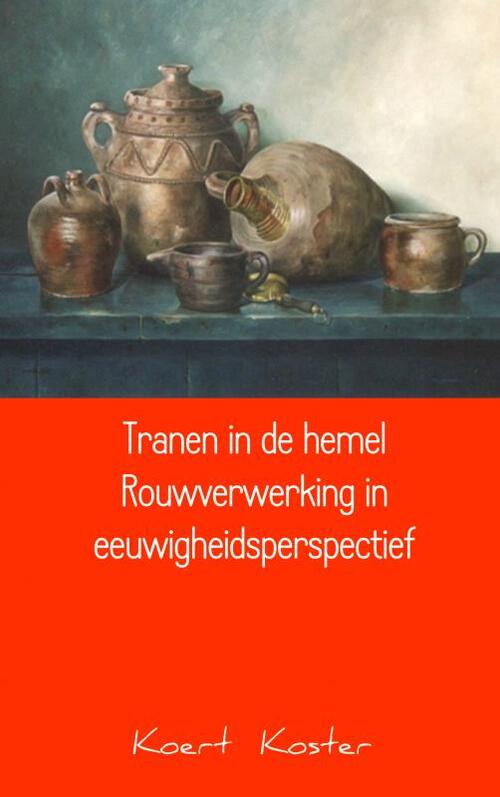 Mijnbestseller.nl Tranen in de hemel Rouwverwerking in eeuwigheidsperspectief