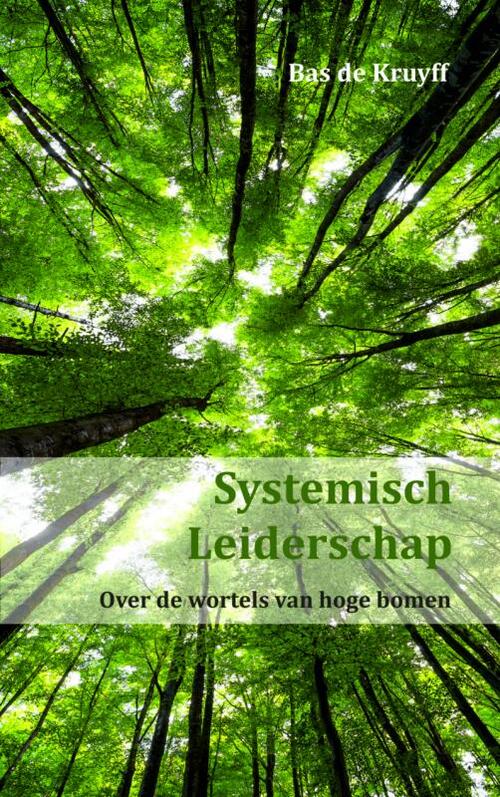 Mijnmanagementboek.nl Systemisch Leiderschap