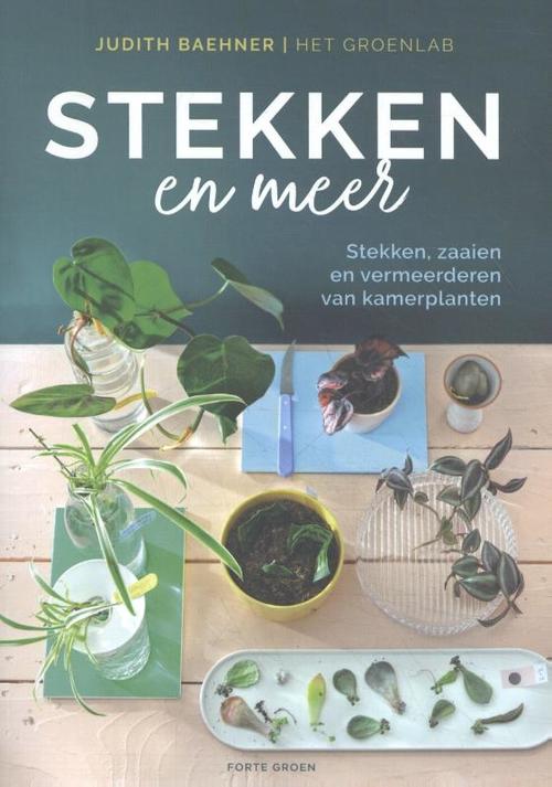 Stekken en meer