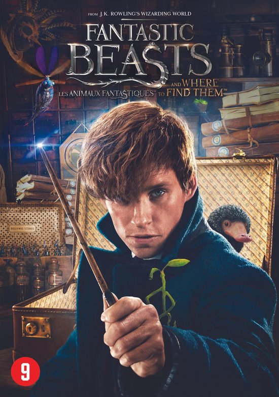 VSN / KOLMIO MEDIA Fantastic Beasts And Where To Find Them