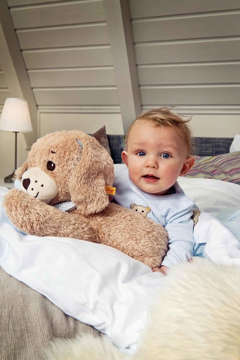 Steiff Goedenacht-hond Speeldoos