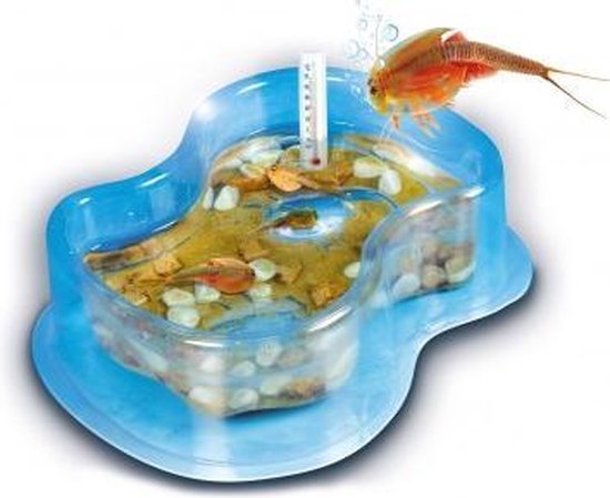 Clementoni Kweek Je Eigen Triops