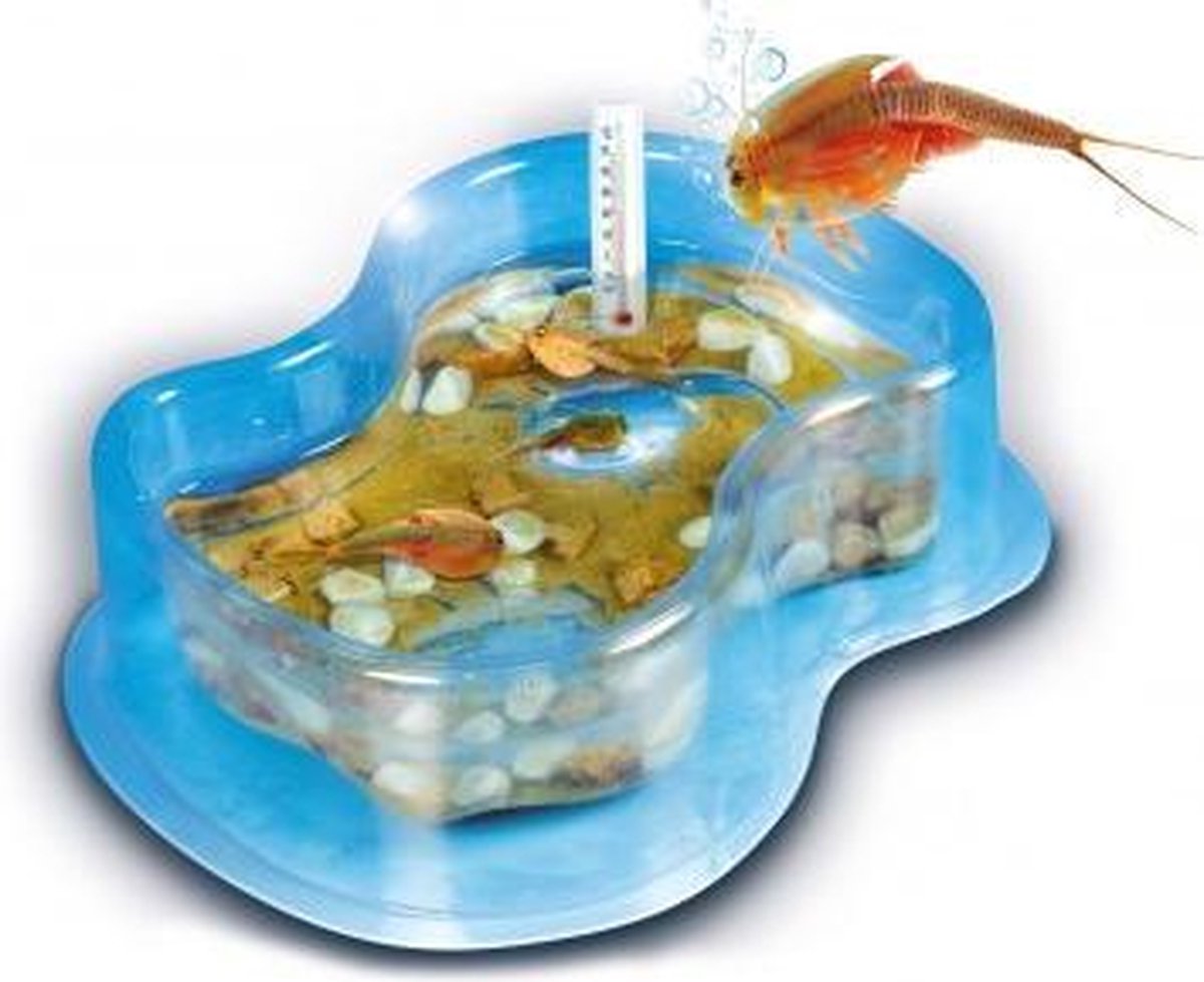 Clementoni Kweek Je Eigen Triops