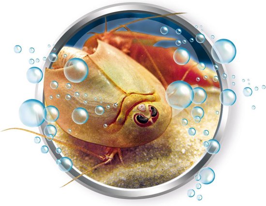 Clementoni Kweek Je Eigen Triops