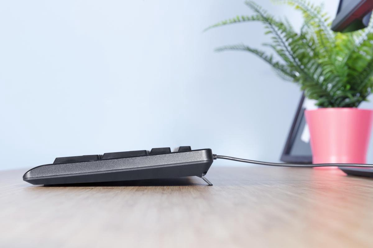 Trust TK-150 toetsenbord USB QWERTY - Zwart