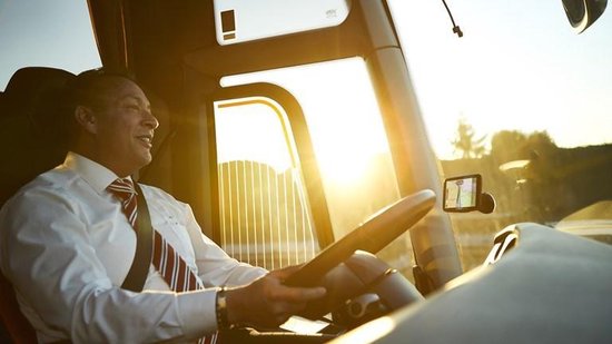 Tomtom Go Professional 520 Europa