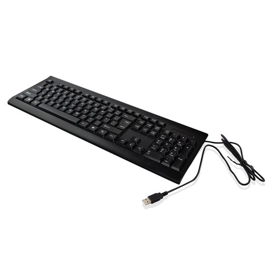Ewent EW3190 toetsenbord USB QWERTY US International - Zwart