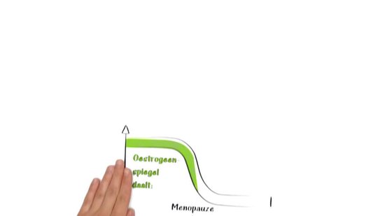 Plantur 39 Shampoo met Fyto-Cafeïne gekleurd en beschadigd haar 250ml