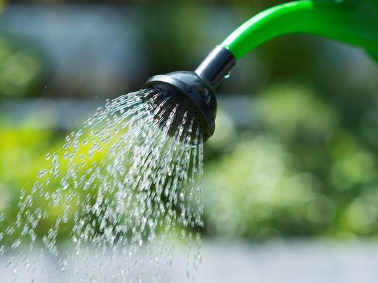 Nature Gieter 13 L 6071425 - Groen